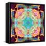 Ornament from Flower Photographs, Multicolor Layer Artwork-Alaya Gadeh-Framed Stretched Canvas