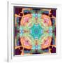 Ornament from Flower Photographs, Multicolor Layer Artwork-Alaya Gadeh-Framed Photographic Print