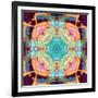 Ornament from Flower Photographs, Multicolor Layer Artwork-Alaya Gadeh-Framed Photographic Print