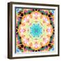 Ornament from Flower Photographs, Multicolor Layer Artwork-Alaya Gadeh-Framed Photographic Print