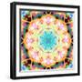 Ornament from Flower Photographs, Multicolor Layer Artwork-Alaya Gadeh-Framed Photographic Print