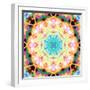 Ornament from Flower Photographs, Multicolor Layer Artwork-Alaya Gadeh-Framed Photographic Print