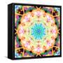 Ornament from Flower Photographs, Multicolor Layer Artwork-Alaya Gadeh-Framed Stretched Canvas