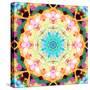 Ornament from Flower Photographs, Multicolor Layer Artwork-Alaya Gadeh-Stretched Canvas