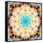 Ornament from Flower Photographs, Multicolor Layer Artwork-Alaya Gadeh-Framed Stretched Canvas