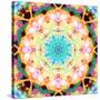 Ornament from Flower Photographs, Multicolor Layer Artwork-Alaya Gadeh-Stretched Canvas