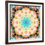 Ornament from Flower Photographs, Multicolor Layer Artwork-Alaya Gadeh-Framed Photographic Print