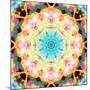 Ornament from Flower Photographs, Multicolor Layer Artwork-Alaya Gadeh-Mounted Photographic Print