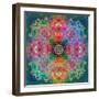 Ornament from Flower Photographs-Alaya Gadeh-Framed Photographic Print