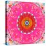 Ornament from Flower Photographs-Alaya Gadeh-Stretched Canvas