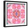 Ornament from Flower Photographs-Alaya Gadeh-Framed Photographic Print