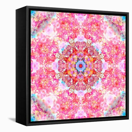 Ornament from Flower Photographs-Alaya Gadeh-Framed Stretched Canvas