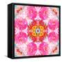 Ornament from Flower Photographs-Alaya Gadeh-Framed Stretched Canvas