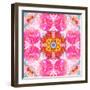 Ornament from Flower Photographs-Alaya Gadeh-Framed Photographic Print