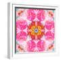 Ornament from Flower Photographs-Alaya Gadeh-Framed Photographic Print