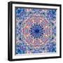 Ornament from Flower Photographs-Alaya Gadeh-Framed Photographic Print