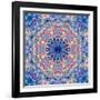 Ornament from Flower Photographs-Alaya Gadeh-Framed Photographic Print