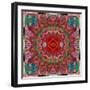 Ornament from Flower Photographs-Alaya Gadeh-Framed Photographic Print