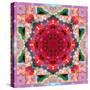 Ornament from Flower Photographs-Alaya Gadeh-Stretched Canvas