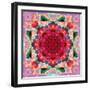 Ornament from Flower Photographs-Alaya Gadeh-Framed Photographic Print