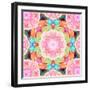 Ornament from Flower Photographs-Alaya Gadeh-Framed Photographic Print