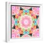 Ornament from Flower Photographs-Alaya Gadeh-Framed Photographic Print