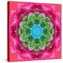 Ornament from Flower Photographs-Alaya Gadeh-Stretched Canvas