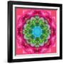 Ornament from Flower Photographs-Alaya Gadeh-Framed Photographic Print