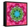 Ornament from Flower Photographs-Alaya Gadeh-Framed Stretched Canvas