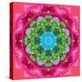 Ornament from Flower Photographs-Alaya Gadeh-Stretched Canvas