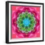 Ornament from Flower Photographs-Alaya Gadeh-Framed Photographic Print