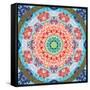 Ornament from Flower Photographs-Alaya Gadeh-Framed Stretched Canvas