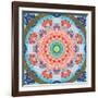 Ornament from Flower Photographs-Alaya Gadeh-Framed Photographic Print