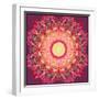 Ornament from Flower Photographs-Alaya Gadeh-Framed Photographic Print