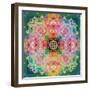 Ornament from Flower Photographs-Alaya Gadeh-Framed Photographic Print