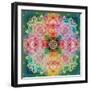 Ornament from Flower Photographs-Alaya Gadeh-Framed Photographic Print