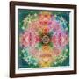 Ornament from Flower Photographs-Alaya Gadeh-Framed Photographic Print