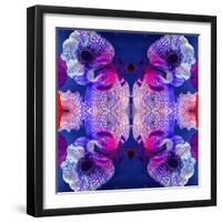 Ornament from Flowers, Photographic Layer Work-Alaya Gadeh-Framed Photographic Print