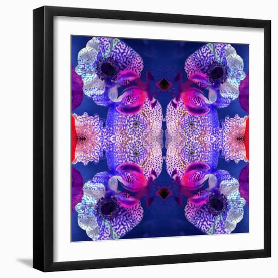 Ornament from Flowers, Photographic Layer Work-Alaya Gadeh-Framed Photographic Print