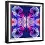 Ornament from Flowers, Photographic Layer Work-Alaya Gadeh-Framed Photographic Print