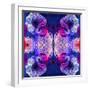 Ornament from Flowers, Photographic Layer Work-Alaya Gadeh-Framed Photographic Print