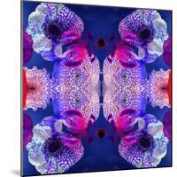 Ornament from Flowers, Photographic Layer Work-Alaya Gadeh-Mounted Photographic Print