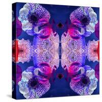 Ornament from Flowers, Photographic Layer Work-Alaya Gadeh-Stretched Canvas