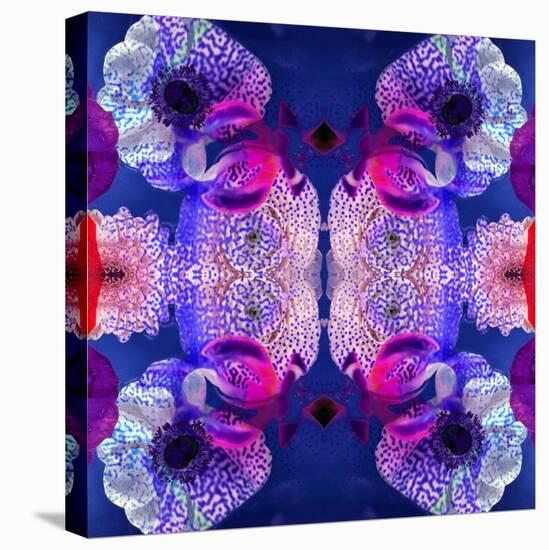 Ornament from Flowers, Photographic Layer Work-Alaya Gadeh-Stretched Canvas