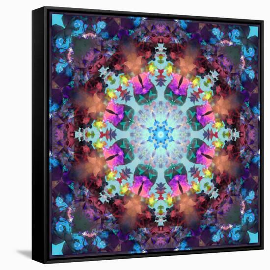 Ornament from Flowers-Alaya Gadeh-Framed Stretched Canvas