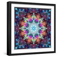 Ornament from Flowers-Alaya Gadeh-Framed Photographic Print