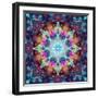 Ornament from Flowers-Alaya Gadeh-Framed Photographic Print