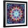 Ornament from Flowers-Alaya Gadeh-Framed Photographic Print