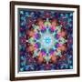 Ornament from Flowers-Alaya Gadeh-Framed Photographic Print