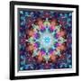 Ornament from Flowers-Alaya Gadeh-Framed Photographic Print